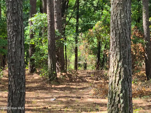 1 Myrtle Road, Roseboro, NC 28382