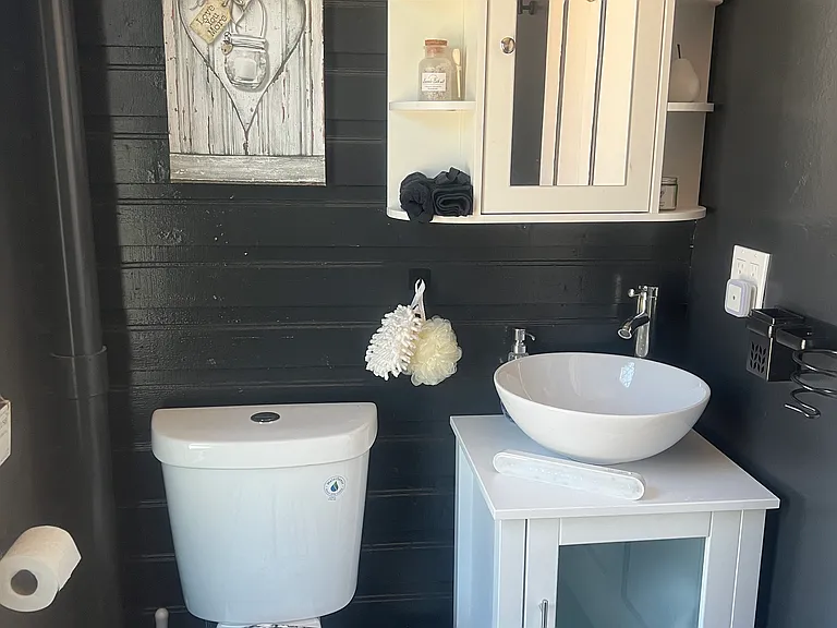 Brand new Toilet, sink and vanity, and mirror! Make-up Towels, Cleaning supplies, Hair dryer, and caddy on wall for hair appliances. Added a shelf to the left of vanity for more storage.