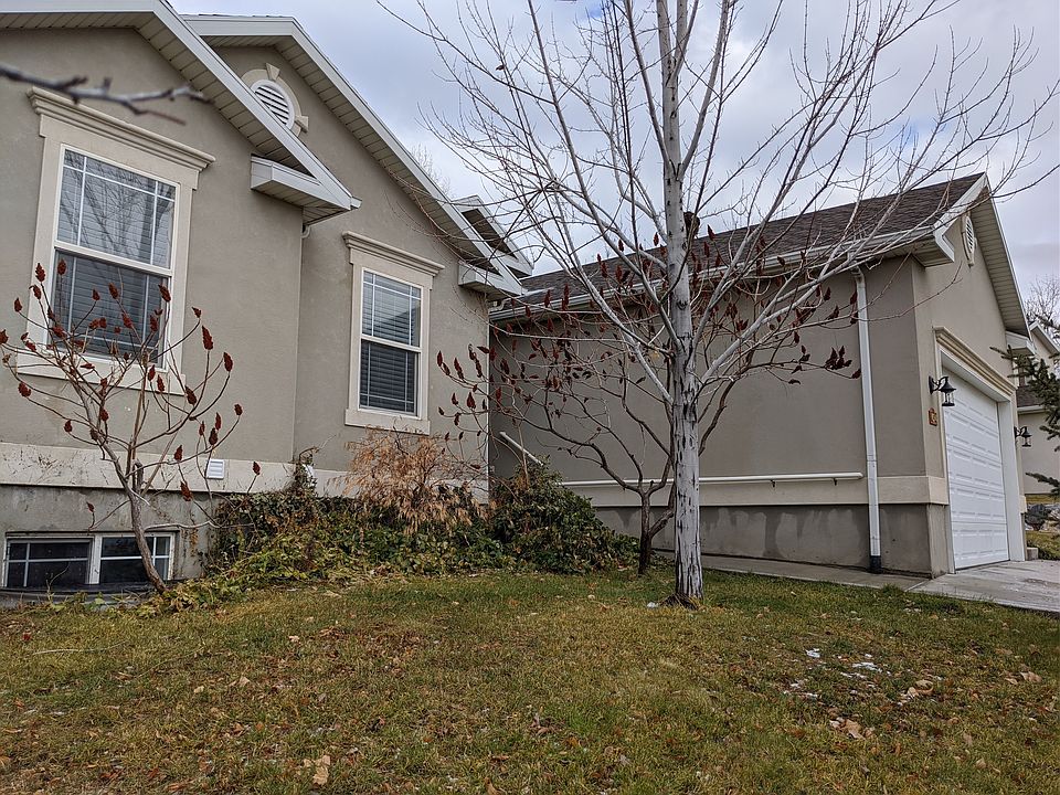 Front elevation—South facing