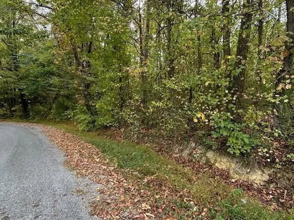 Logtown Rd, Dayton, TN 37321