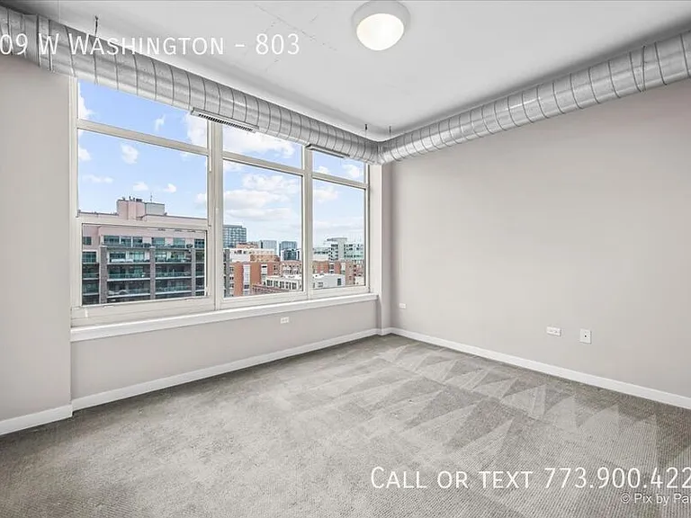909 W Washington #803 — Photo 11
