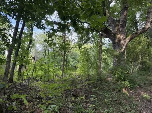 881 Galbraith Rd, Brooksville, KY 41004
