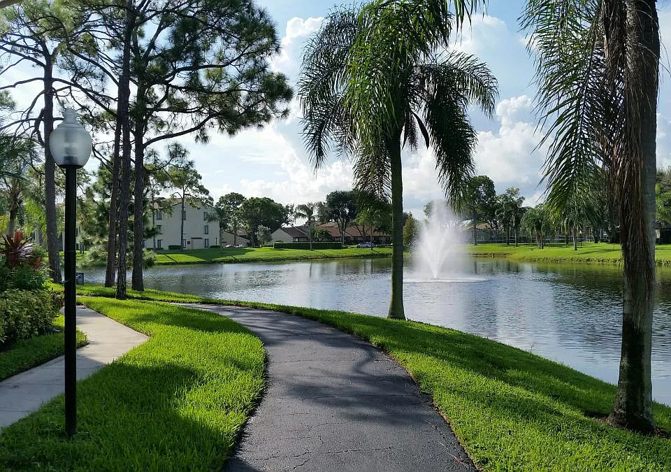 537 Shady Pine Way