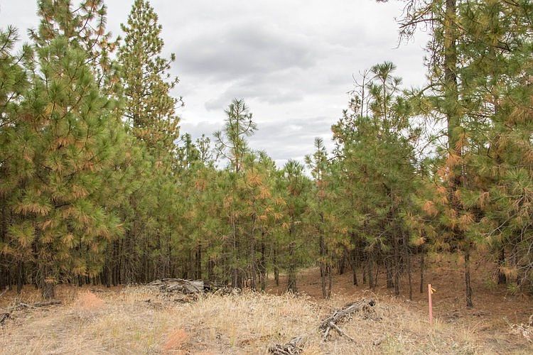 1st image of 5208 W Regina Ln Lot 15