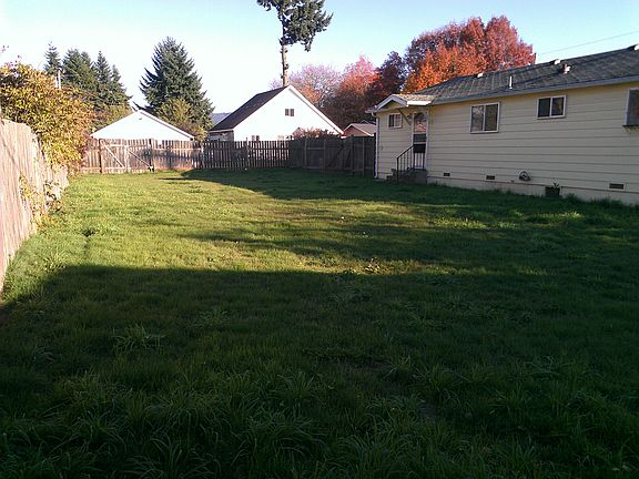 Back yard