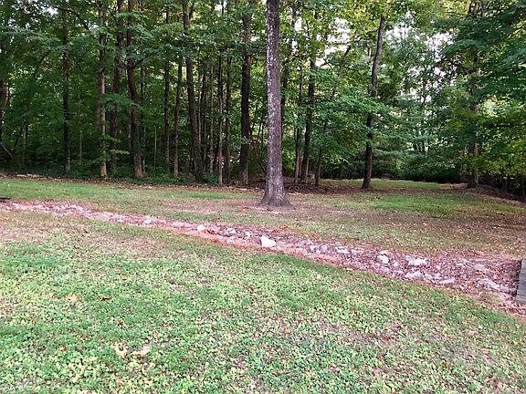 Wooded Back Yard