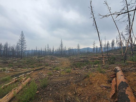 2nd image of Iola Dr