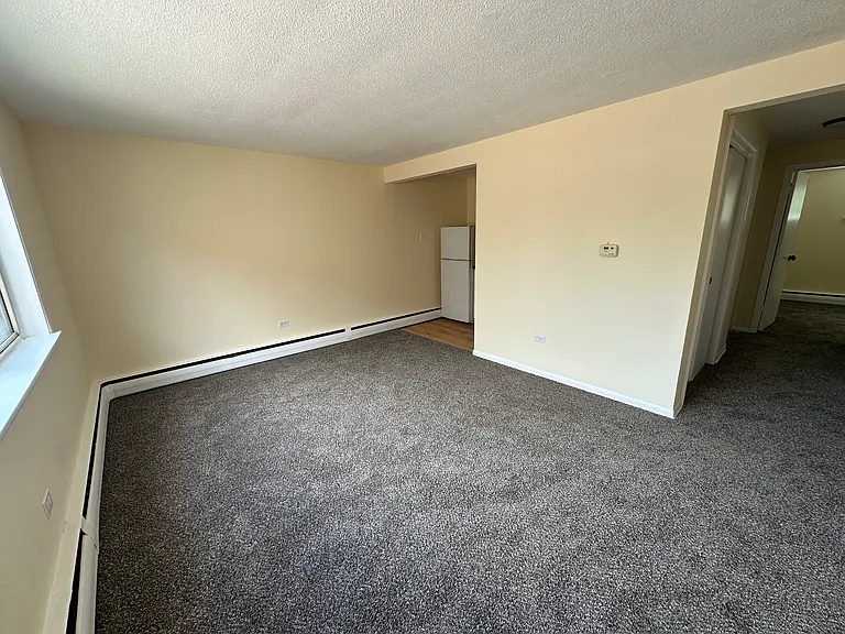 431 E 113th St #3 — Photo 8