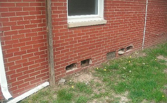 2nd image of 1701 W Quilling Dr