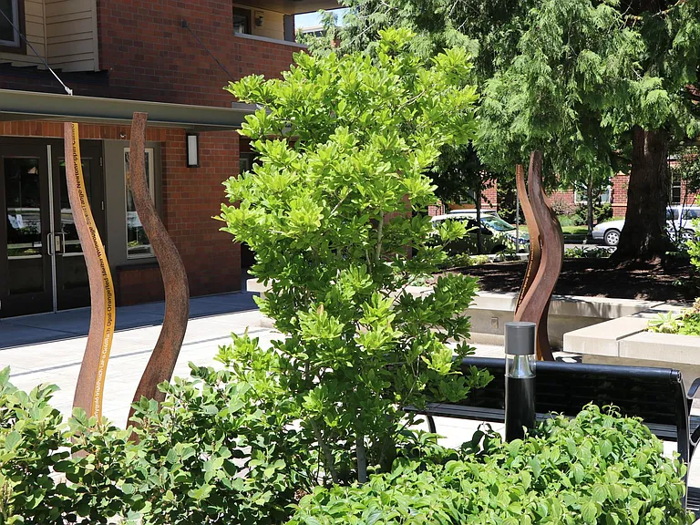 1455 NE Orenco Station Pkwy #D1 — Photo 41
