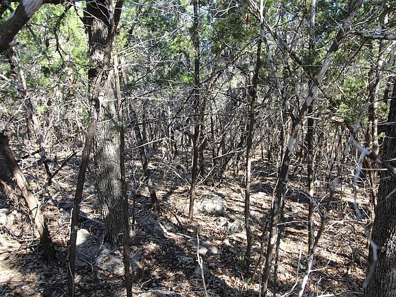5th image of 357 Big Bend Dr Lot 11R