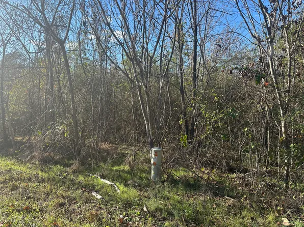 0 Mount Carmel Rd, Decatur, TN 37322