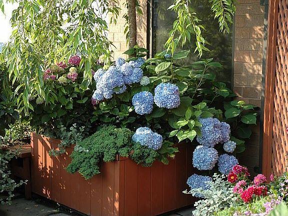 Garden East Side