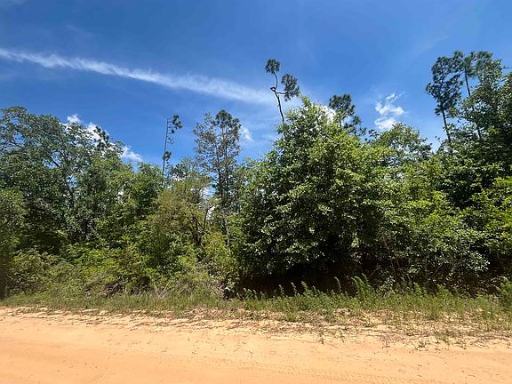 4th image of Tamarac Rd