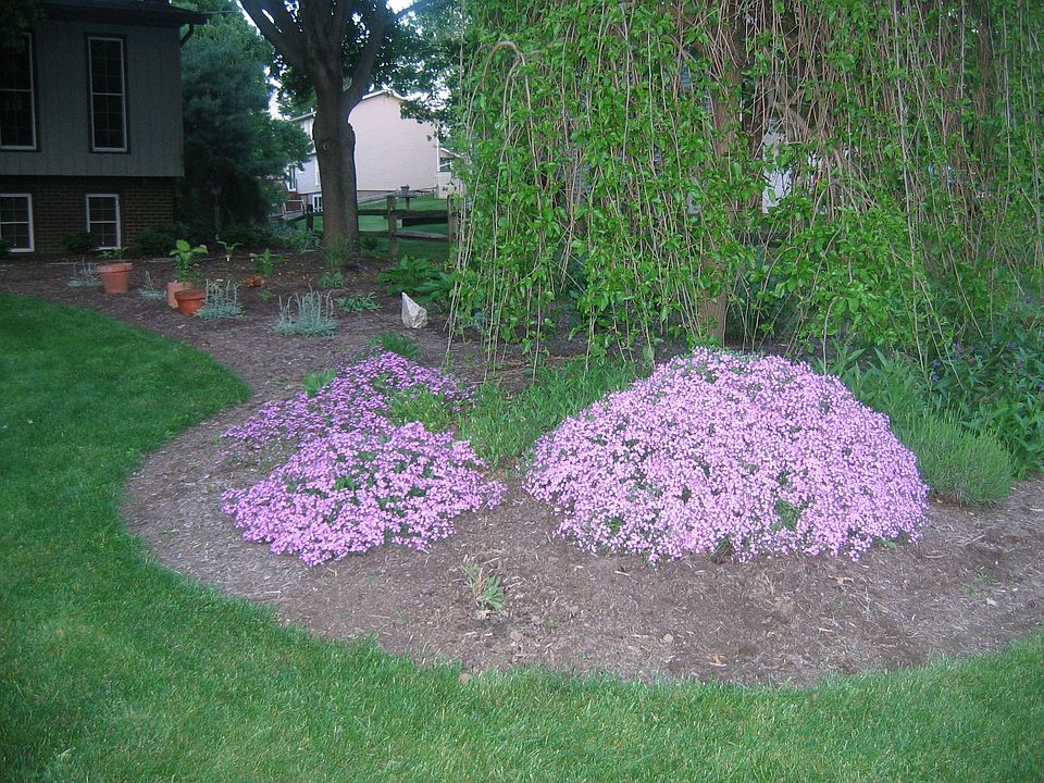 Front landscaping