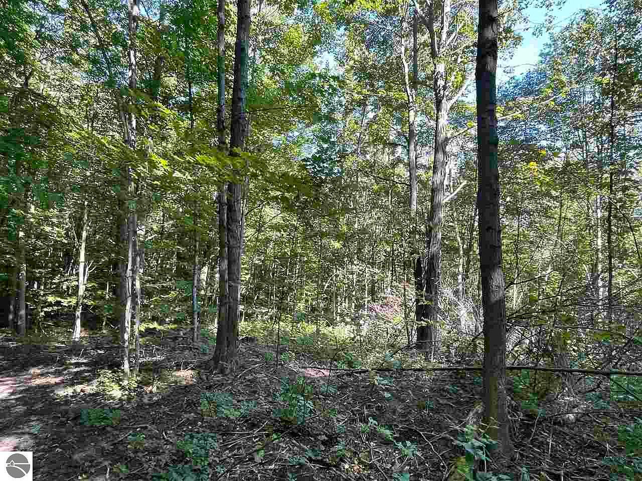 (Undisclosed Address), Tustin, MI 49688 Zillow