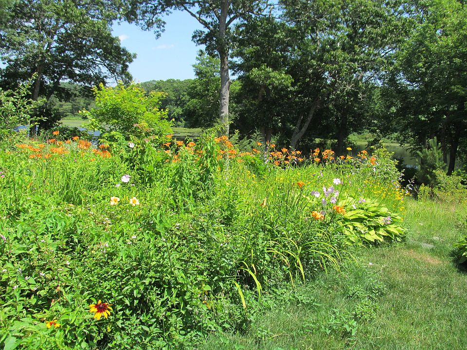2nd image of 100 Little Pond Rd