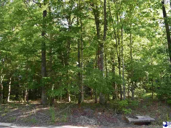 633 Forest Acres Dr, Pamplico, SC 29583