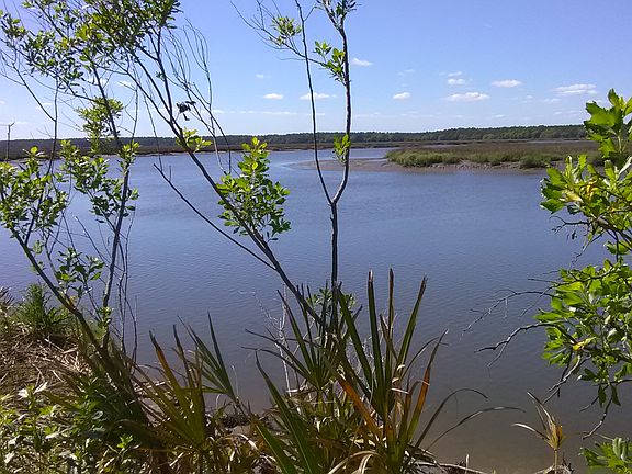 3rd image of Gullah Is