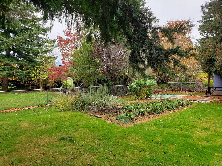 yard