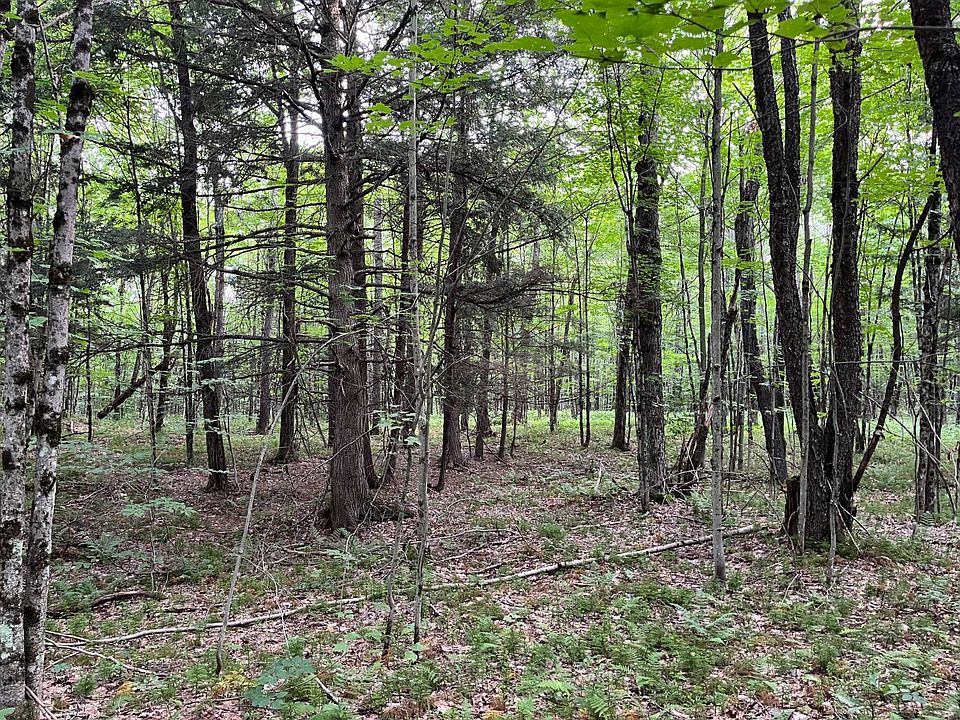 10th image of 0 Streeter Rd #3