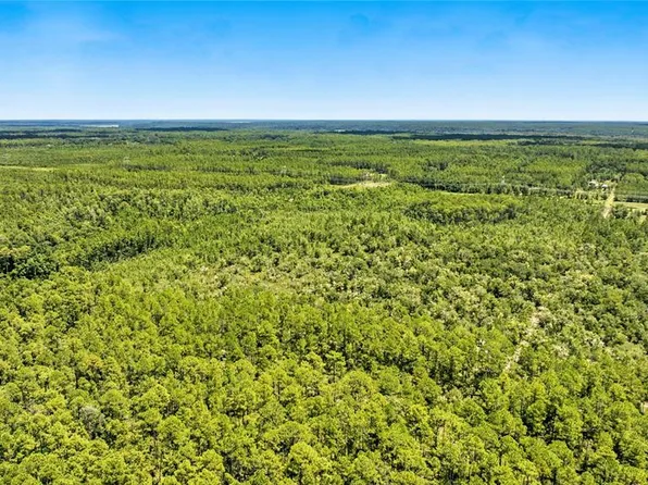 NE 125th Ave, Fort Mc Coy, FL 32134