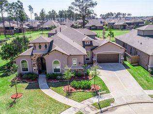 19022 Wild Thornberry Dr, Tomball, TX 77377