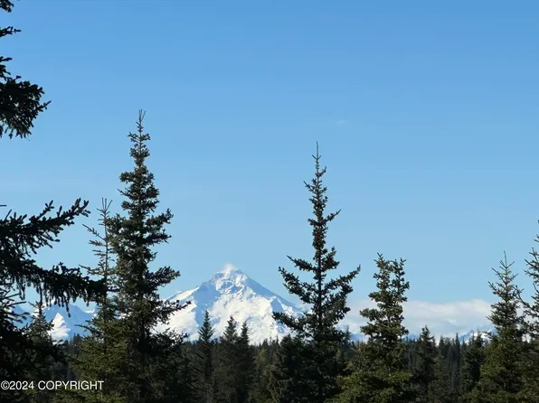 25904 Pepper Rd, Anchor Point, AK 99556