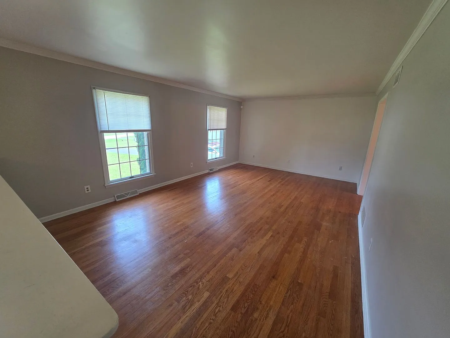 146 Honora Dr. Bear, DE 19701 — Photo 4