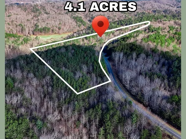 0 Dean Rd, Mineral Bluff, GA 30559