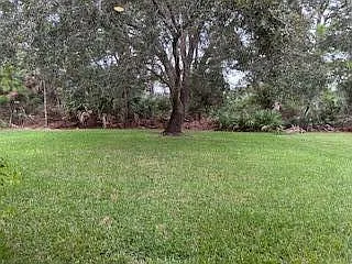 6211 Arlington Way — Photo 5