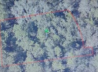 4220 S Joy Ter, Homosassa, FL 34446