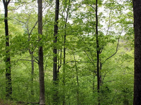 15 The Village At Laurelwood, Nancy, KY 42544