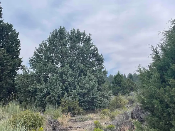 Clearwater Dr Lot 22, Sprague River, OR 97639