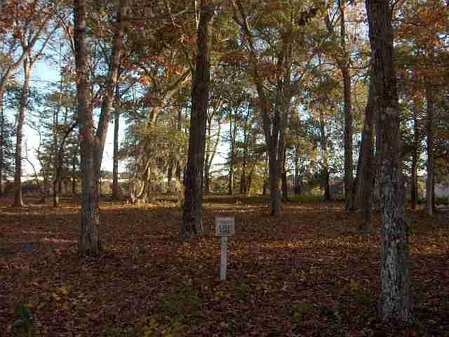 1st image of 4104 Grey Heron Dr. Lot 90 The Dye Estates