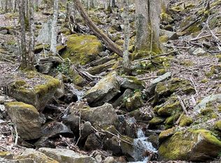 Red Fox Ln LOT 3, Banner Elk, NC 28604