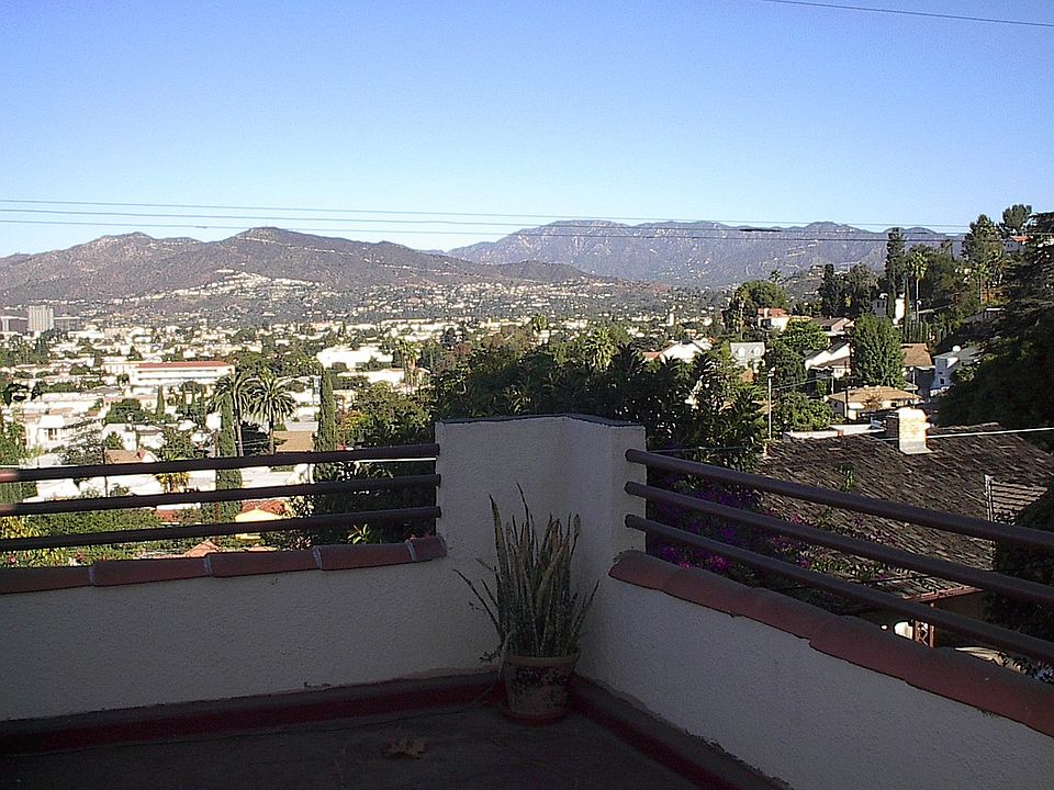the view