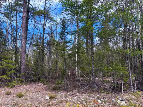 LOT 241 Kauffman Rd, Presque Isle, MI 49777