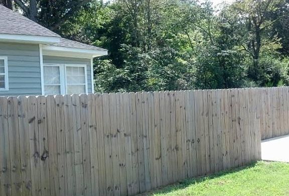 View of Back Yard Privacy