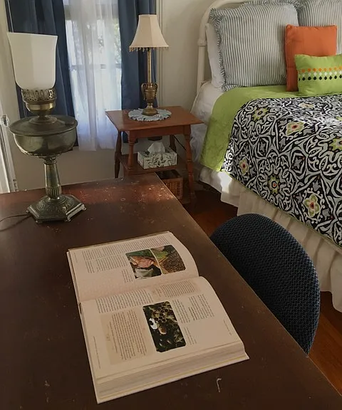 Tranquilla Dr — Photo 9