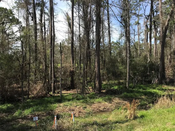 580 Parkview Dr, Onalaska, TX 77360