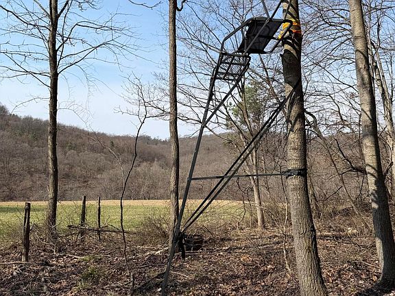 5th image of 322 Sugar Valley Rd