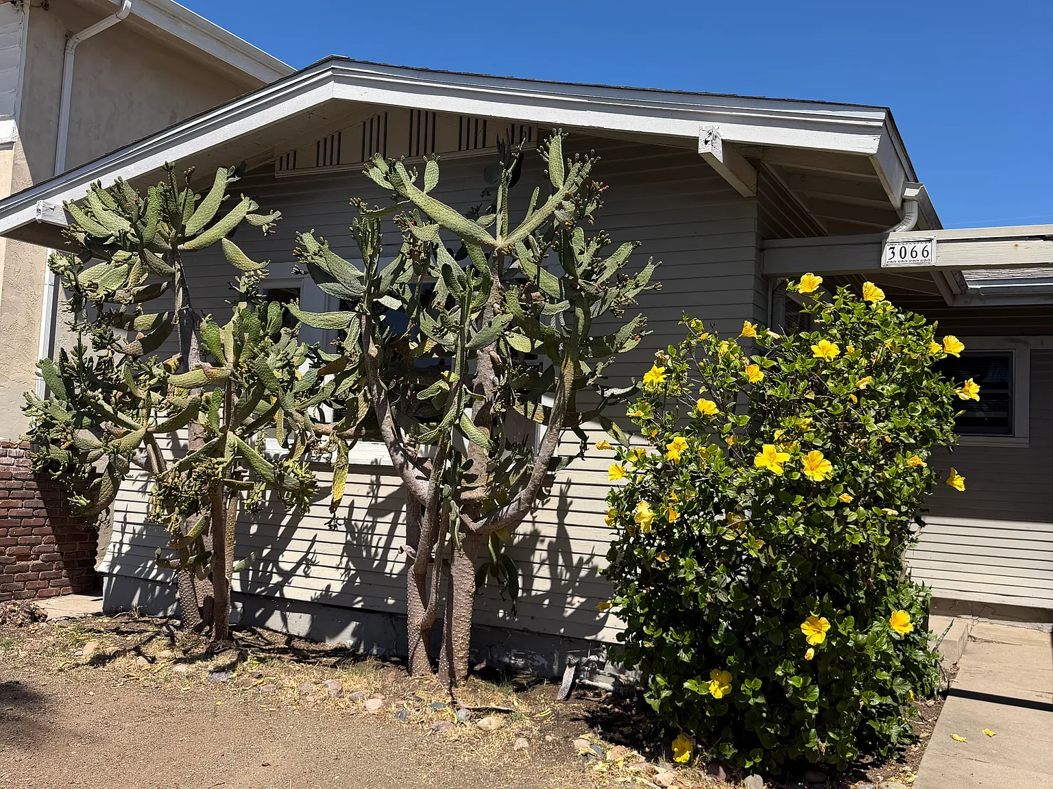 1 bed, $2,300 — Photo 2
