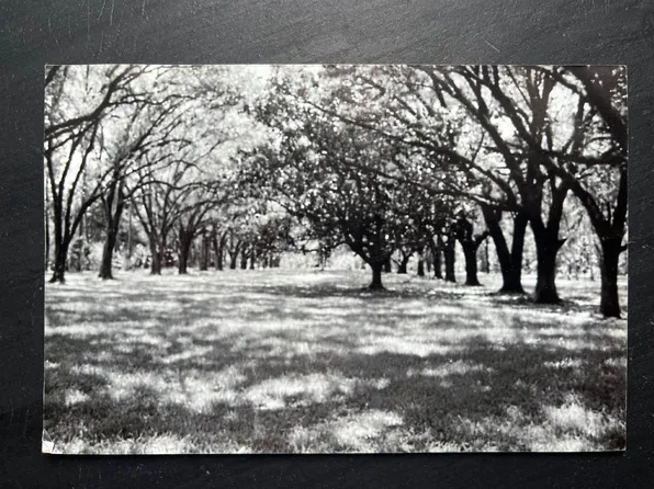 3317 Highway 1, Napoleonville, LA 70390