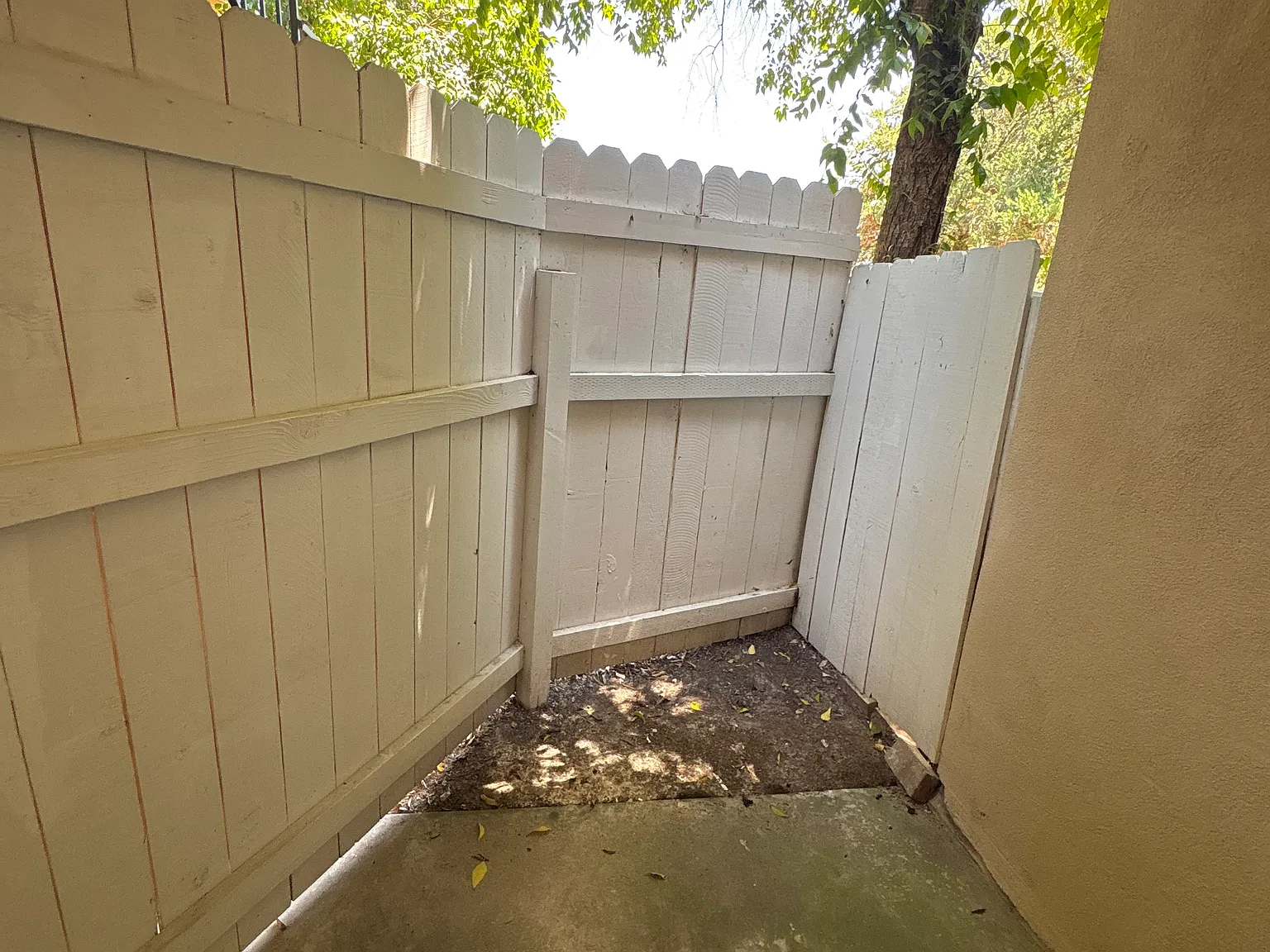 1 bed, $2,375 — Photo 4