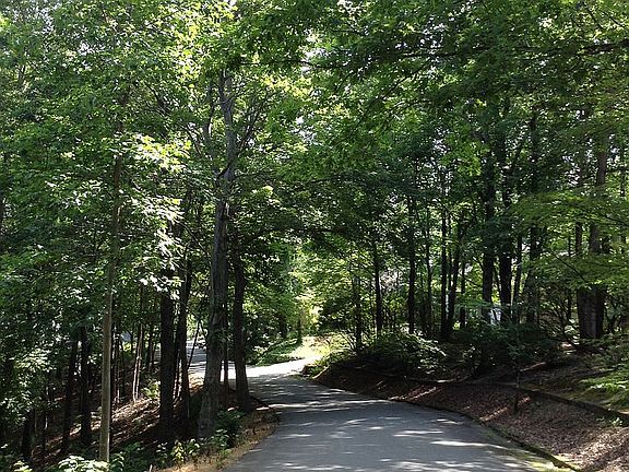 Aurora Lane