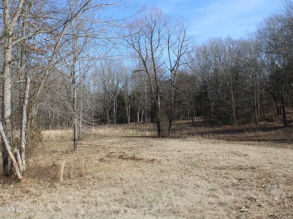 5 Hollow Crossing Cv, Senatobia, MS 38668