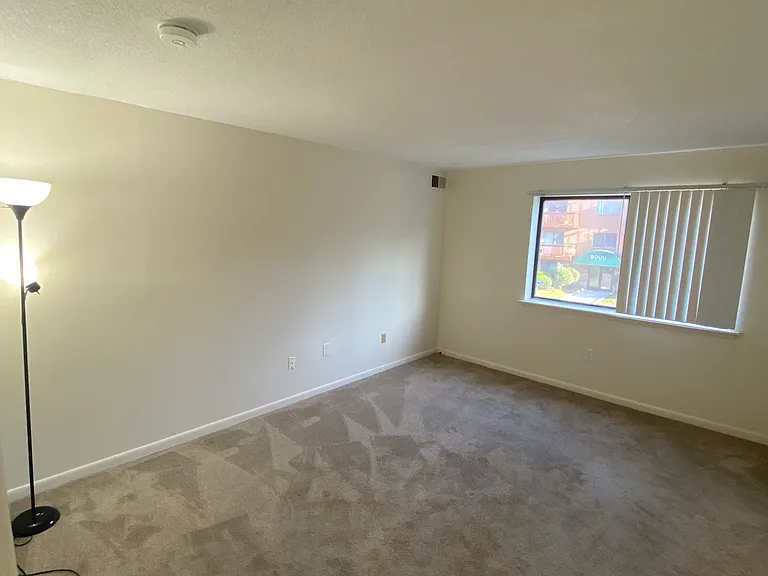 1217 Harbor View Dr #1217 — Photo 14