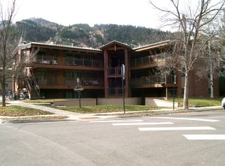 835 E Hyman Ave APT C, Aspen, CO 81611