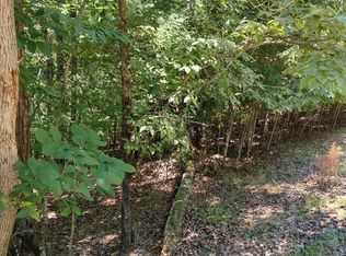 853 Matrix Ln, Ellijay, GA 30540